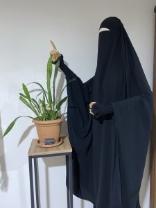 Fransız baş Afgan takımı