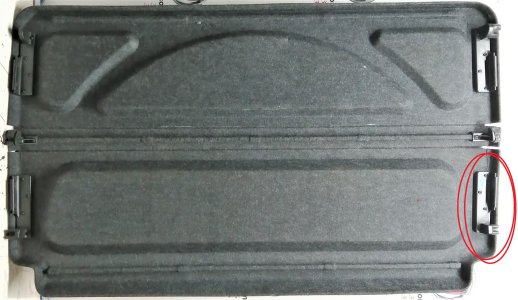 BAGAJ PANDİZOT AYAĞI ARKA SAĞ DOBLO 1-2 98846070--55171348