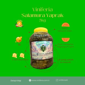 Salamura Yaprak - Toptan Fiyatına Perakende