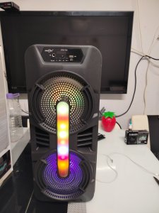 BLUETOOTH LU KAREOKE MİKROFONLU KURAN ANFİSİ