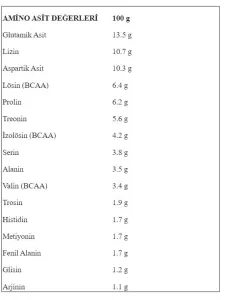 Protein Ocn Whey Protein 1.6kg ÇİKOLATA AROMALI