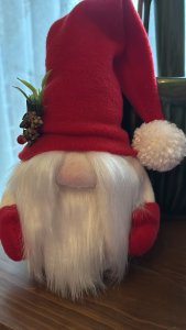 YILBAŞI ŞANS CÜCESİ