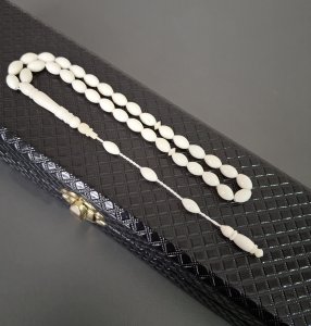 SİSTEMLİ DEVE KEMİĞİ