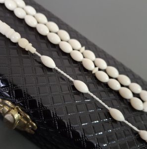 SİSTEMLİ DEVE KEMİĞİ