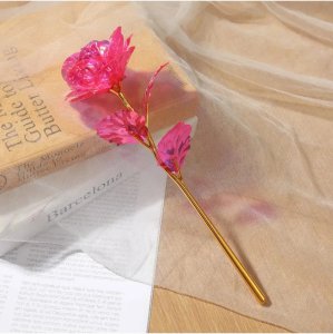 Sonsuzluk Gülü Solmayan Gül