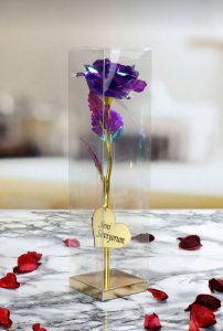 Solmayan Gül Sonsuzluk Gülü