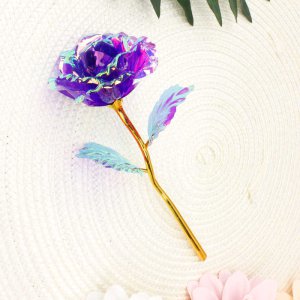 Solmayan Gül Sonsuzluk Gülü