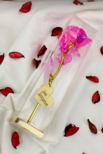 İstridye İçinde Gerçek İnci ve Gümüş Kaplama Kolye Seti ile Büyülü Sonsuzluk Gülü Solmayan Gül