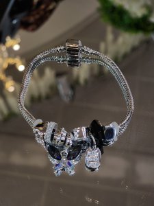 Pandora Model Silver Charmlı Çelik Bileklik