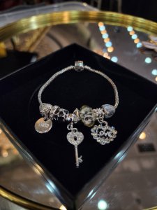 Pandora Model Silver Charmlı Çelik Bileklik