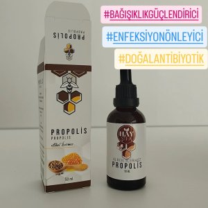 PROPOLİS