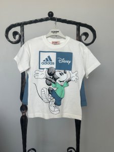 Disnep erkek çocuk takım