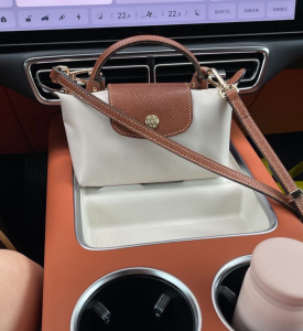 Longchamp mini Çanta