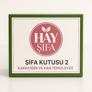 KAN VE KARACİĞER TEMİZLİĞİ