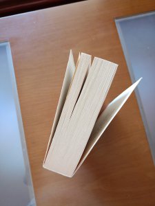 KAFAMDA BİR TUHAFLIK VAR. ORHAN PAMUK.