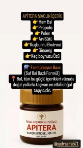 APİTERA MACUN