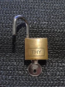 TÜRK HAVA YOLLARI DAMGALI ASMA KİLİT DEKORATİF KOLEKSİYONLUK