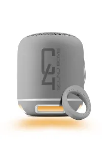 POWERWAY  Powerway C4 Gri Bluetooth Hoparlör Sese Duyarlı Led