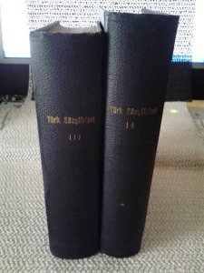 TÜRK SAZ ŞAİRLERİ ANTOLOJİ 2-3