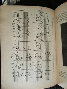 BEETHOVEN - ÖLÜMÜNÜN 125. YIL DÖNÜMÜNDE.