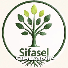 HAYSİFASEL