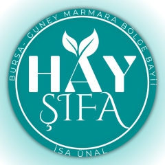 HAY ŞİFA BURSA